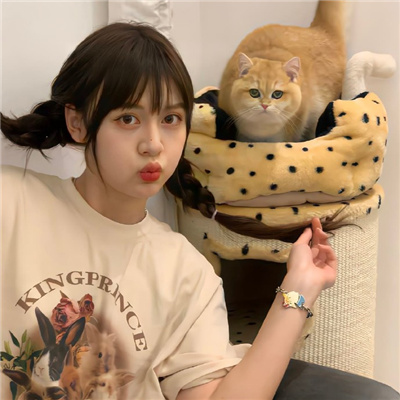 16781525211808423.jpg 16781525211808423.jpg