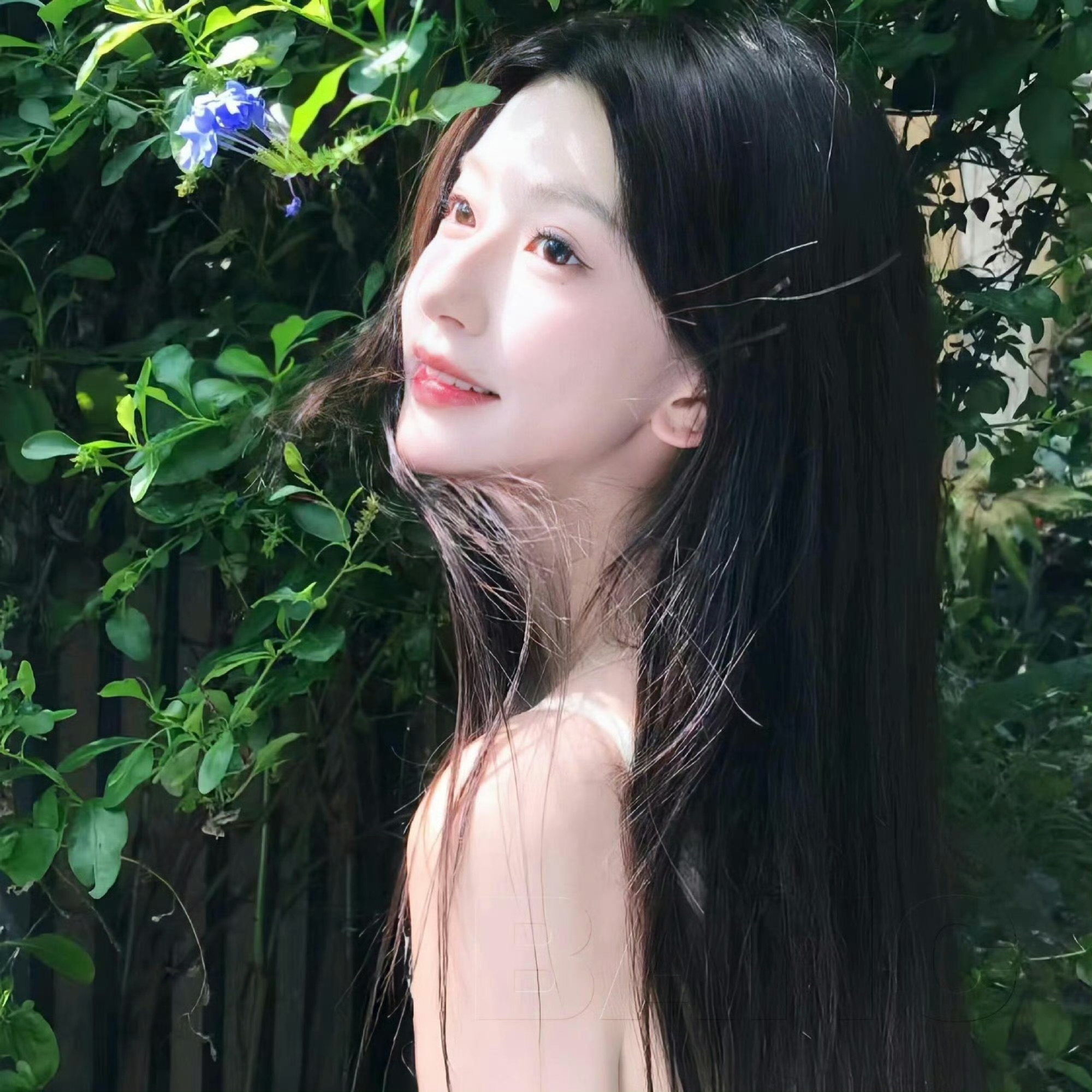 IMG_1198.JPG IMG_1198.JPG